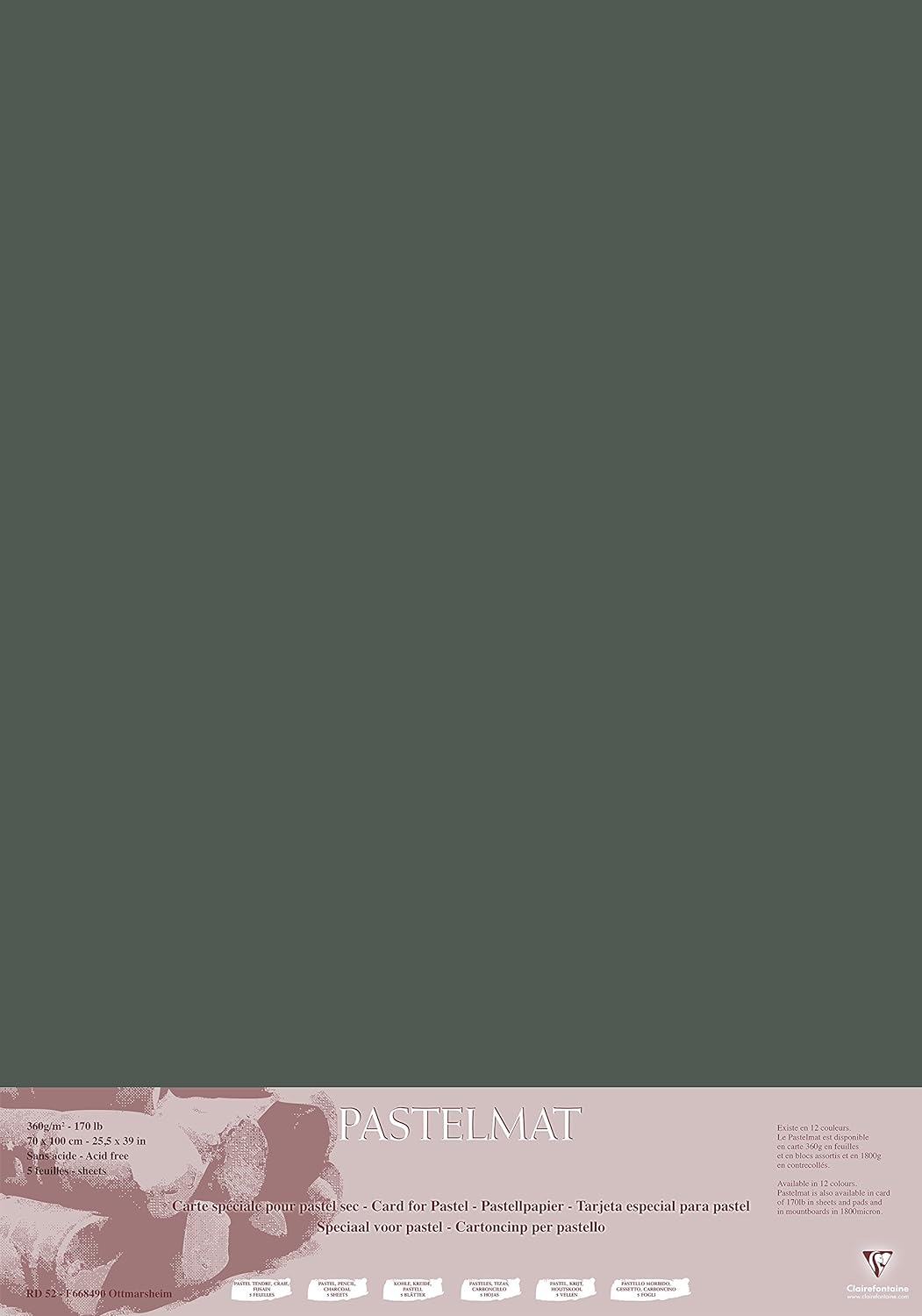 Clairefontaine 296009C Packung (mit 5 Zeichenbögen Pastelmat, 70 x 100 cm, 360 g, ideal für Trockent