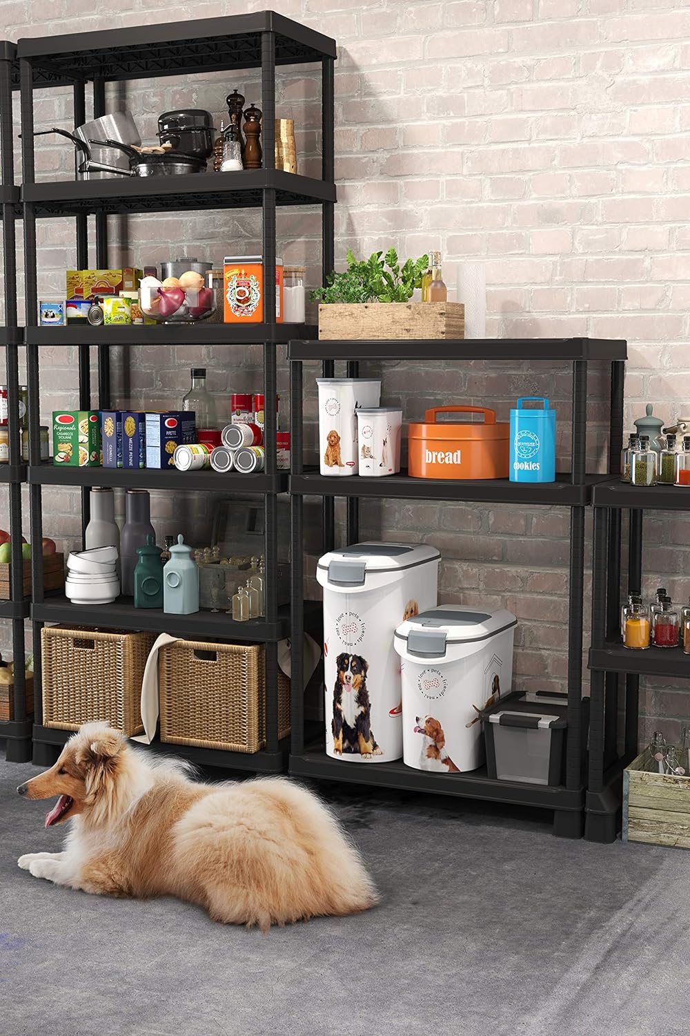 Curver Futter-Container 20kg I 54L, weiss/grau/Love Pets Hunde, 49,3 x 27,8 x 60,5 cm, 241093 Hund 2