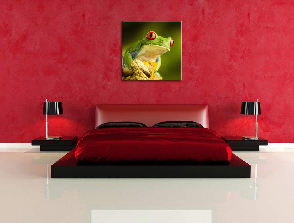 Grüner Rotaugen Frosch, Format: 70x70 auf Leinwand, XXL riesige Bilder fertig gerahmt mit Keilrahmen