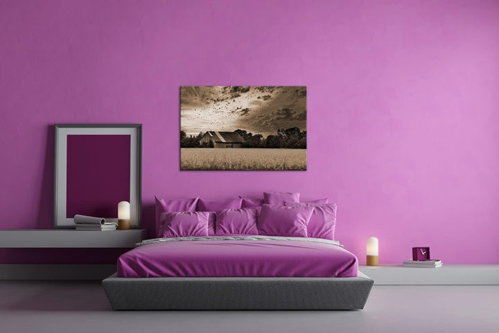 deyoli Scheune am blühendem Feld Effekt: Sepia Format: 60x40 als Leinwandbild, Motiv fertig gerahmt