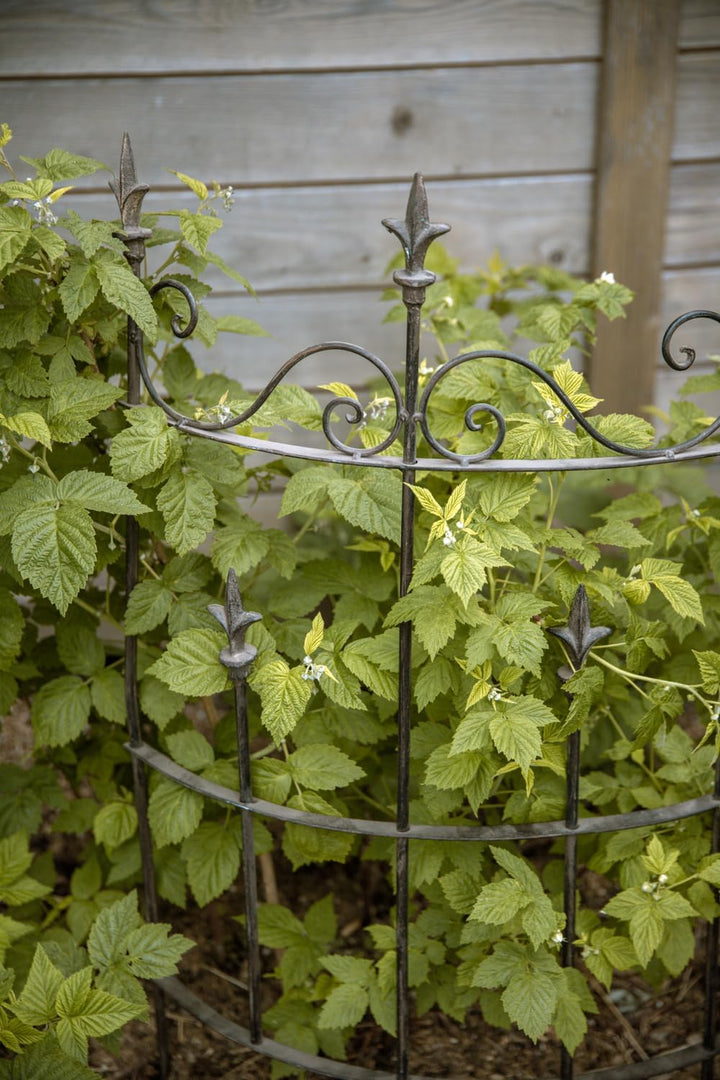 ecosoul Staudenhalter Strauchhalter halbrund Rankhilfe Metall Eisen Rostfarben Deko 80cm hoch 59 cm