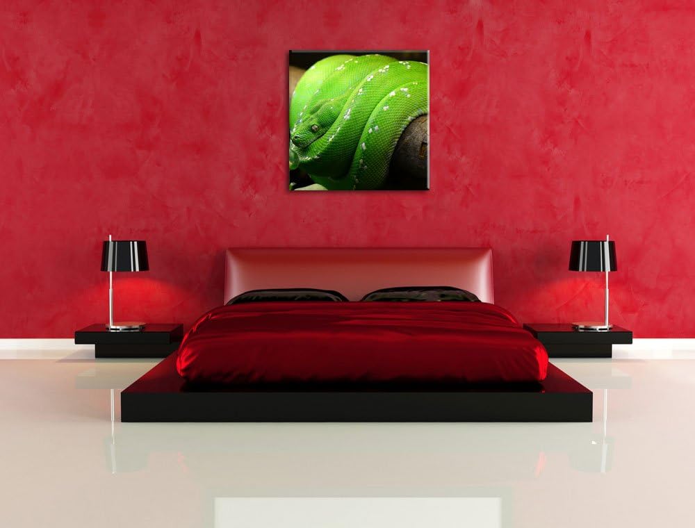 Grüne exotische Schlange, Format: 70x70 auf Leinwand, XXL riesige Bilder fertig gerahmt mit Keilrahm