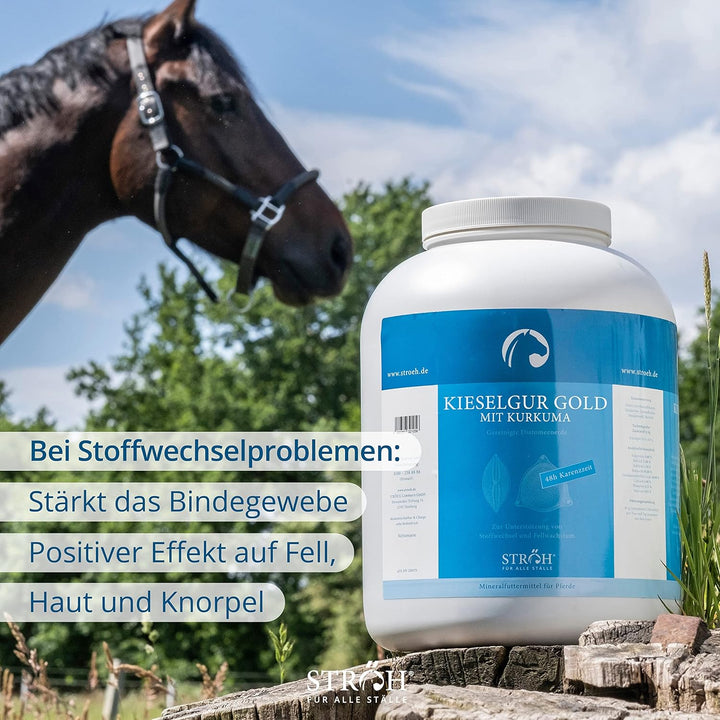 STRÖH Kieselgur Gold & Algen Pferd (1,7kg) • Zur Unterstützung von Stoffwechsel & Fellwachstum • Min