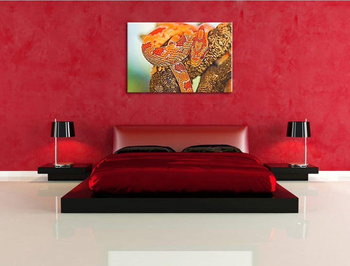 ruhende Kornnatter Deluxe Format: 100x70 cm auf Leinwand, XXL riesige Bilder fertig gerahmt mit Keil