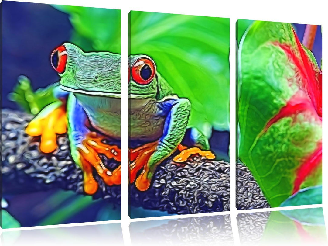 Rotaugenlaubfrosch auf Ast Spezial 3-Teiler Leinwandbild 120x80 Bild auf Leinwand, XXL riesige Bilde