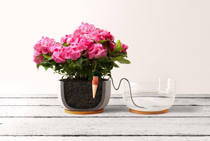 Blumat 125-00 Bewässerung für Pflanzen, Pflanzenbewässerung Wasserspender (10 Stück), 10