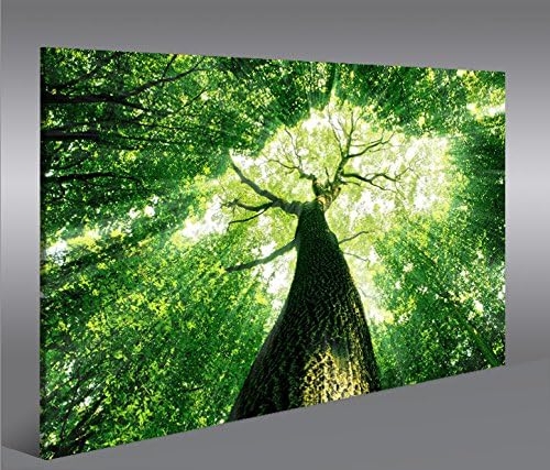islandburner Bild Bilder auf Leinwand Baumkrone Grün Wald Sonnenstrahlen Bäume 1p XXL Poster Leinwan