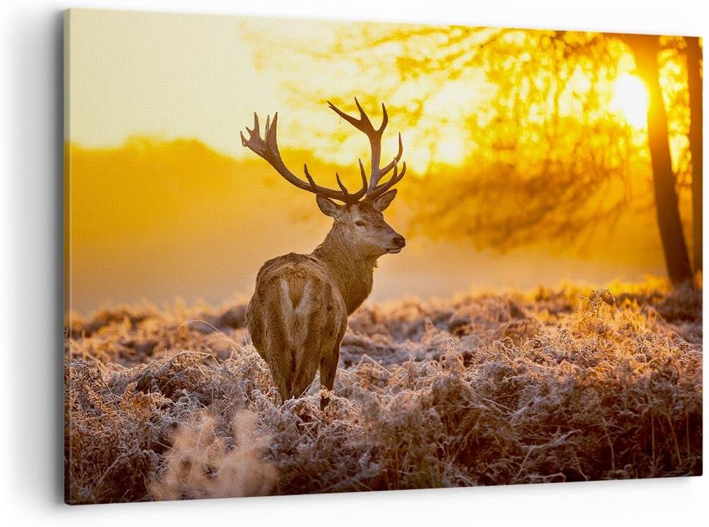 Bilder auf Leinwand 100x70cm Leinwandbild Herbst landschaft natur blatt Gross Wanddeko Bild Schlafzi