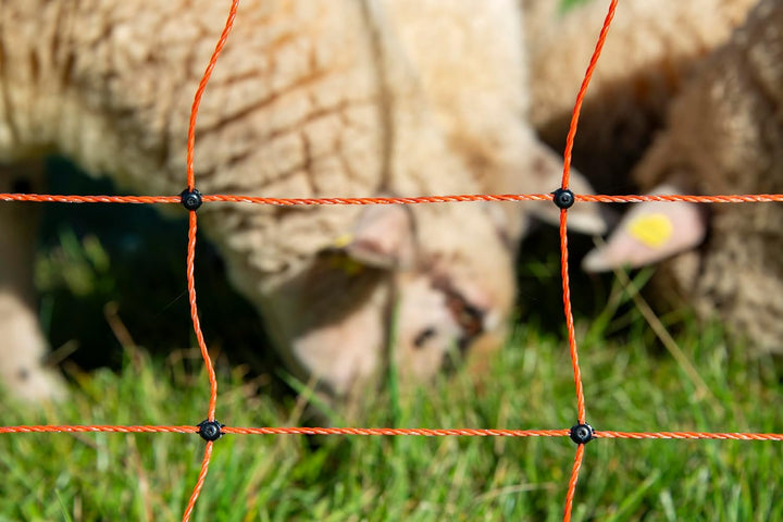 horizont strongLine Schafzaun 50m, 90cm hoch -14 Fiberglaspfähle Schafnetz mit Doppelspitze - mit St