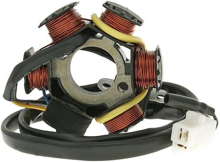 Lichtmaschine Stator - Elystar 50 (Euro 2, ab Bj. 2004) Typ:G1A