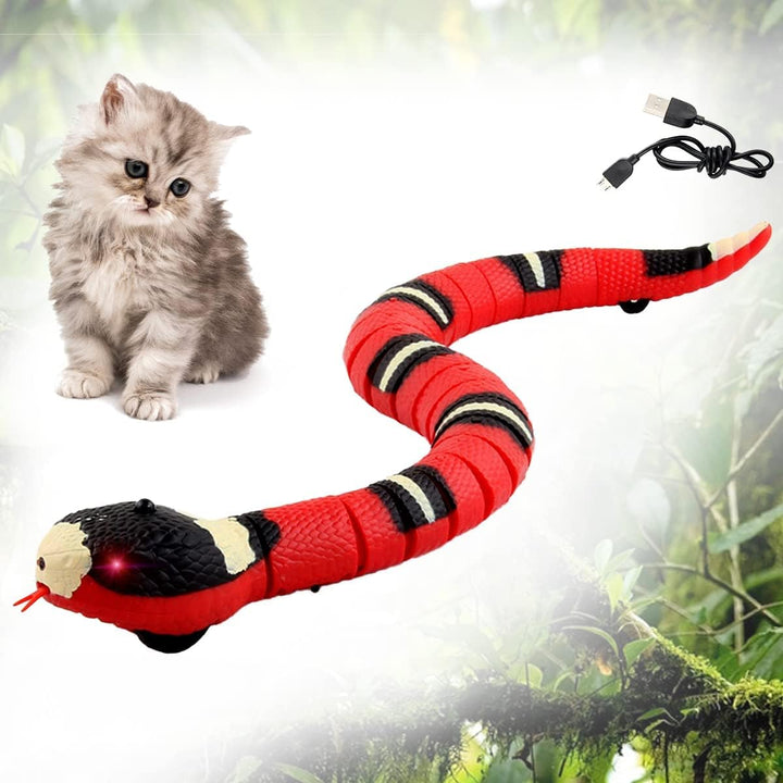 Spielzeugschlange Katze, XiXiRan Schlangenspielzeug Elektrisches, Katzenspielzeug Schlange Usb, Schl