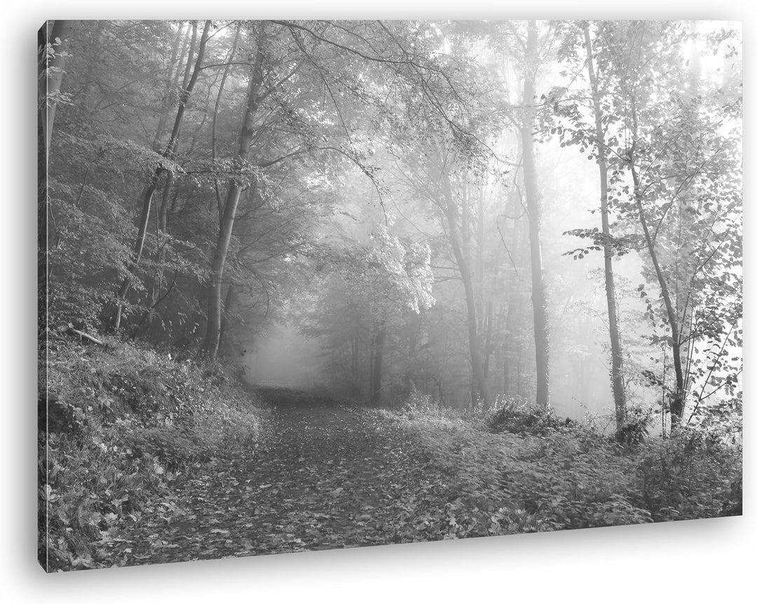 deyoli vernebelter Waldweg im Herbst Effekt: Schwarz/Weiss Format: 80x60 als Leinwand, Motiv fertig