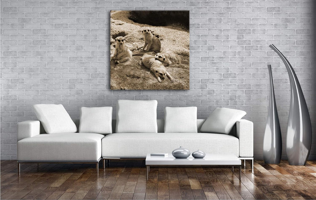 deyoli niedliche Erdmännchen Familie im Format: 60x60 Effekt: Sepia als Leinwandbild, Motiv auf Echt