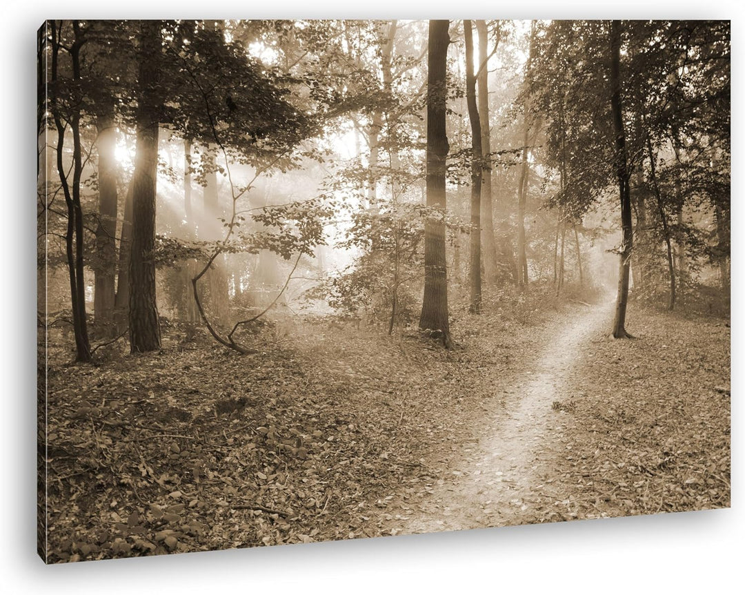 deyoli ruhiger Waldweg Format: 100x70 Effekt: Sepia als Leinwandbild, Motiv fertig gerahmt auf Echth