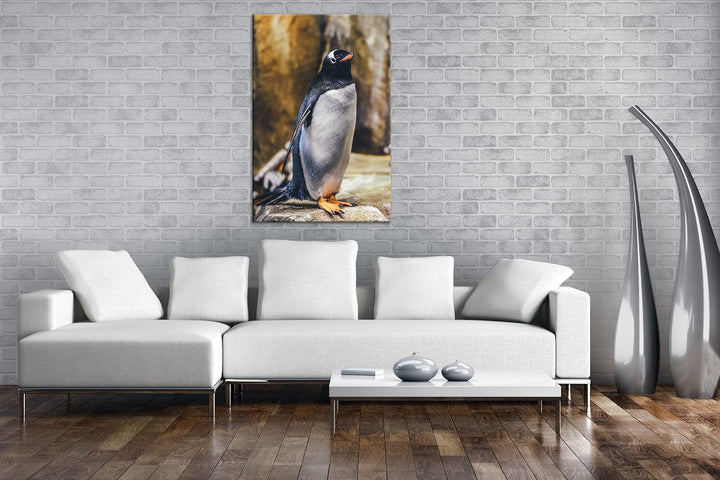 deyoli niedlicher Pinguin Format: 80x60 als Leinwand, Motiv fertig gerahmt auf Echtholzrahmen, Hochw