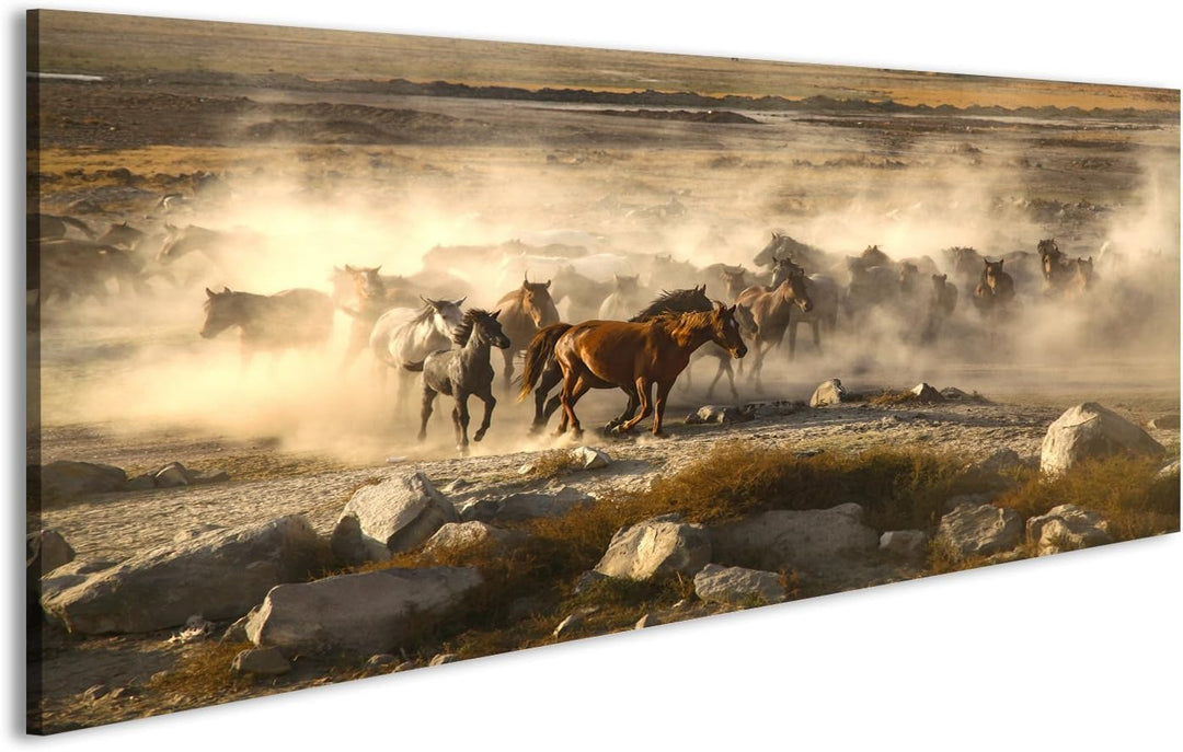 islandburner Bild auf Leinwand Durchgang von Wilden Pferden ist ganzjährig, Pferde Wandbild, Poster,