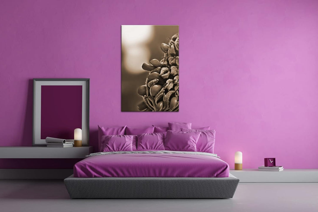 deyoli Südliche Magnolie Stierbucht Format: 80x60 Effekt: Sepia als Leinwandbild, Motiv fertig gerah