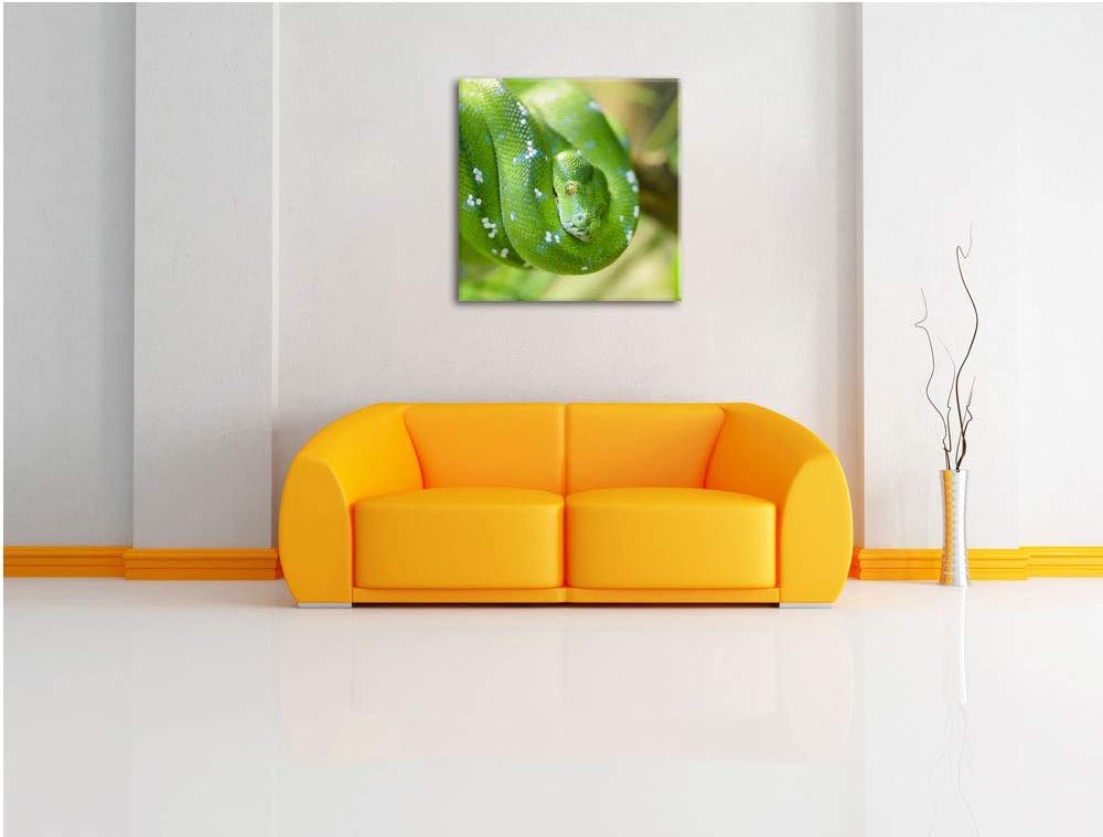 Grüne giftige Baumschlange, Format: 70x70 auf Leinwand, XXL riesige Bilder fertig gerahmt mit Keilra