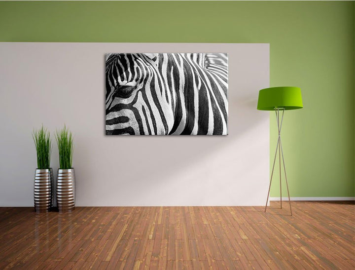 Pixxprint Zebra Porträt Format: 100x70 auf Leinwand, XXL riesige Bilder fertig gerahmt mit Keilrahme