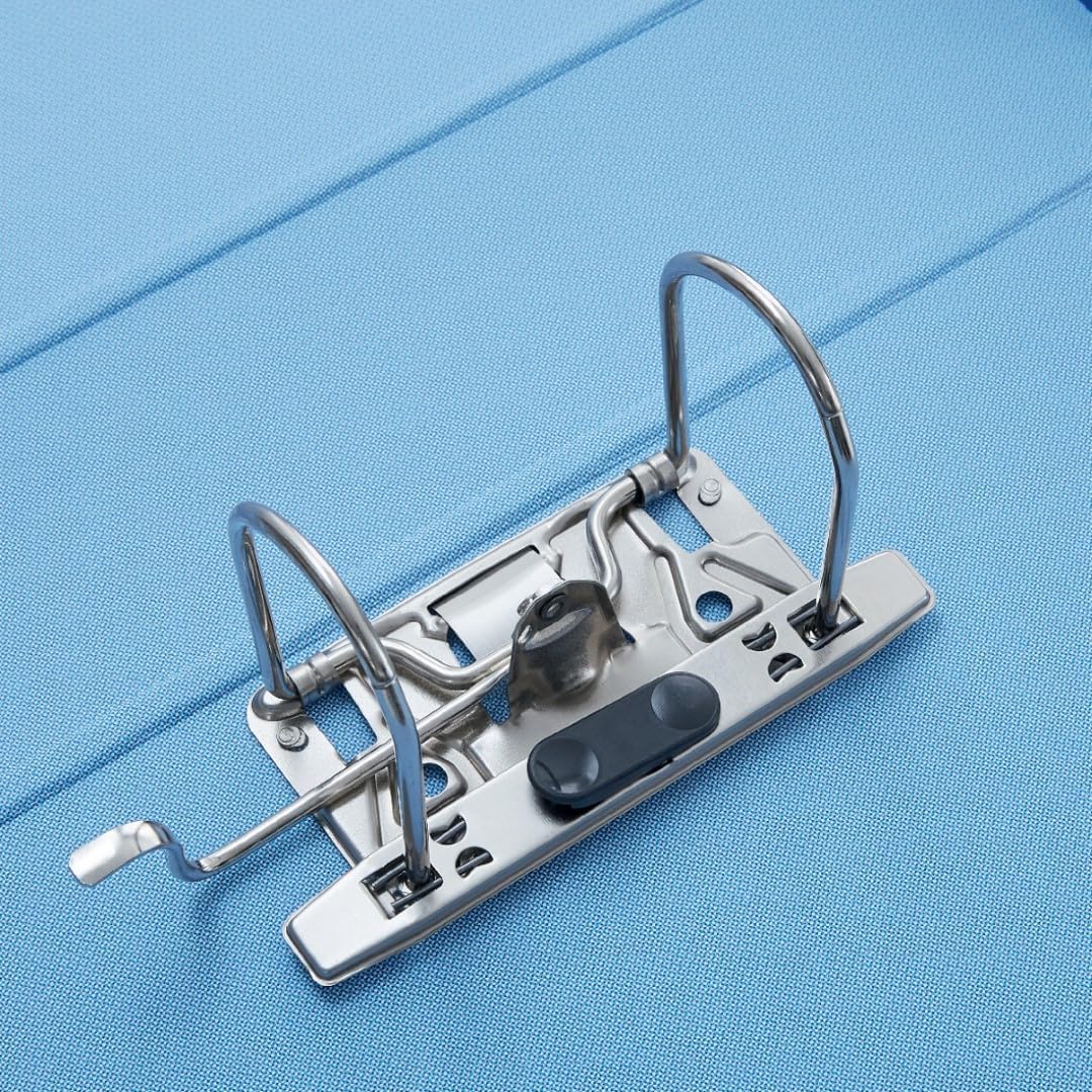 Esselte Business-Ordner mit Hebelmechanik und Aufbewahrungsschachtel Formato Protocollo grün 6 grün