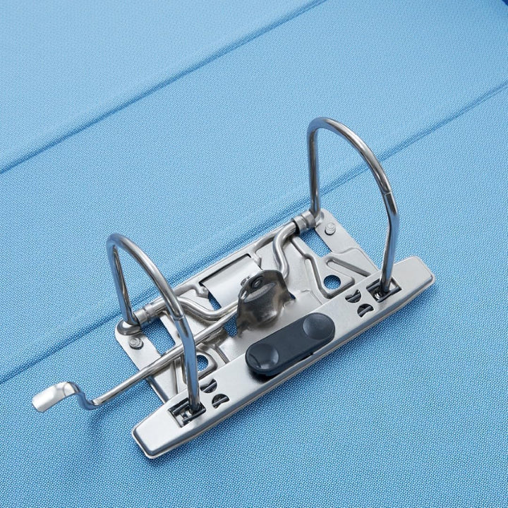 Esselte Business-Ordner mit Hebelmechanik und Aufbewahrungsschachtel Formato Protocollo grün 6 grün