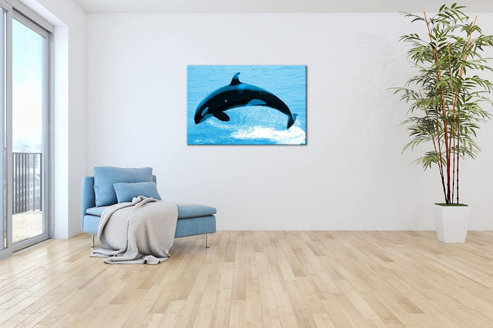 deyoli verspielter Orca Format 100x70 Effekt: Monocrome Blau als Leinwandbild, Motiv fertig gerahmt