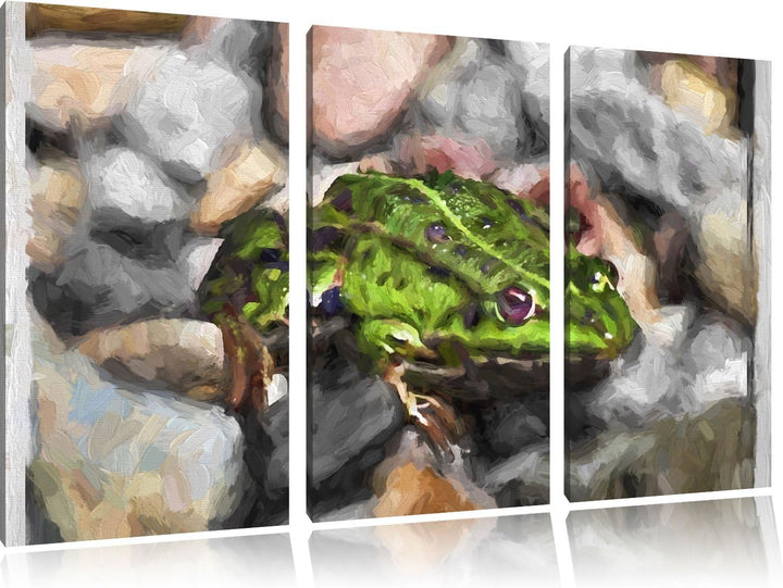 grüne Kröte in Steinbett NewArt 3-Teiler Leinwandbild 120x80 Bild auf Leinwand, XXL riesige Bilder f