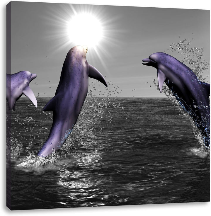 Fröhliche Delfine springen im Meer schwarz/weiss, Format: 70x70 auf Leinwand, 70x70