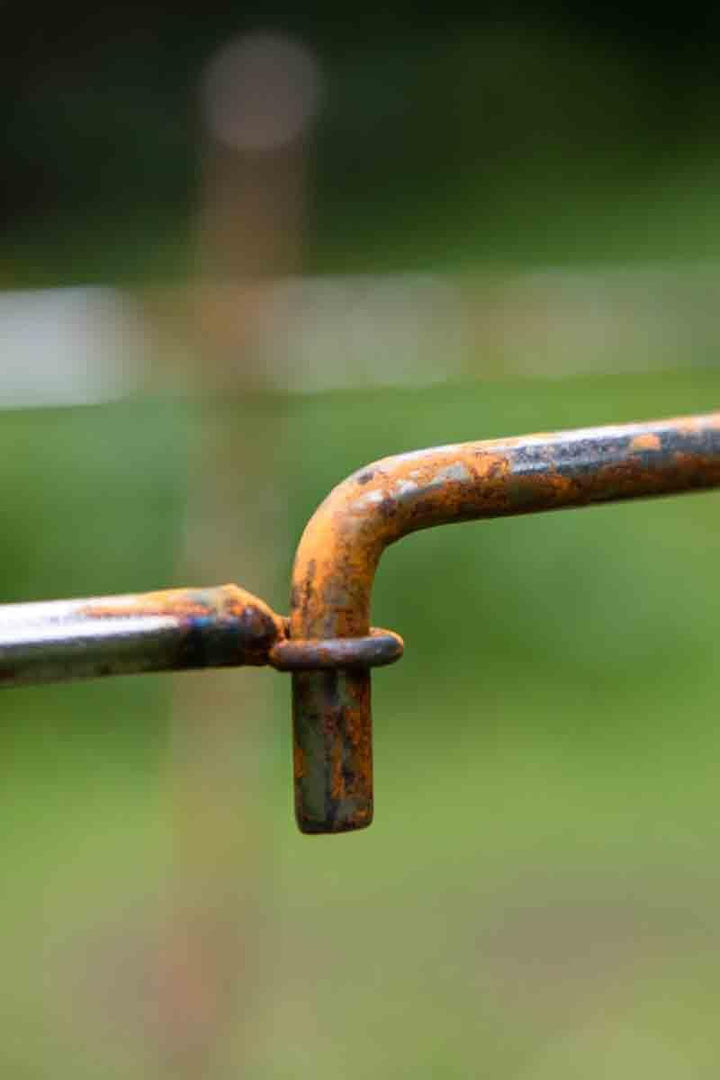 Staudenhalter Rostig Höhe: 60cm - 2 TLG. Strauchhalter Rankgerüst, Rost, Höhe 60cm