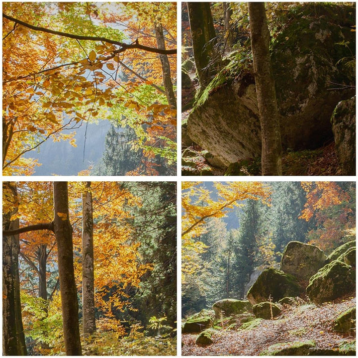 ARTTOR Bilder auf Leinwand Herbst berg wald natur Leinwandbild 70x50cm Wandbilder Dekoration Wohnzim