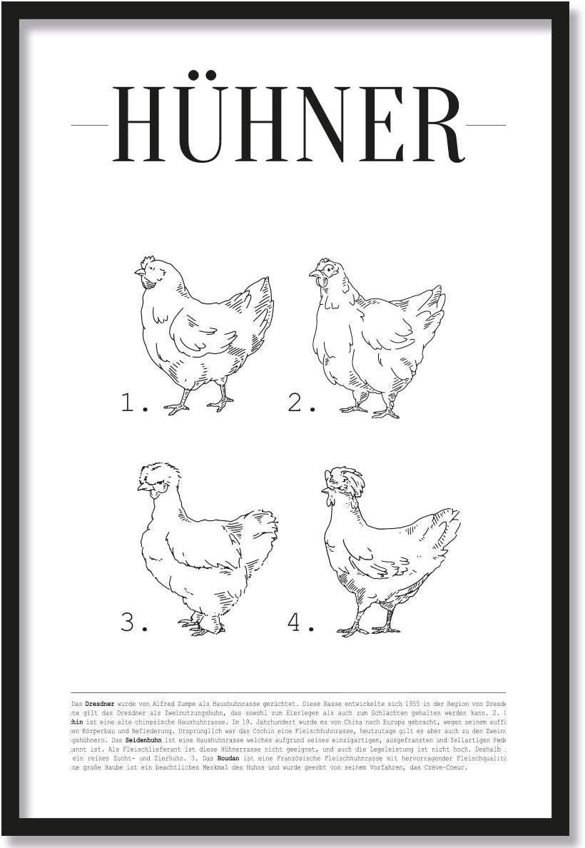 JUNIWORDS Poster mit/ohne Holzrahmen - Wähle ein Motiv - Hühner - Wähle eine Grösse - 40 x 60 cm (L)
