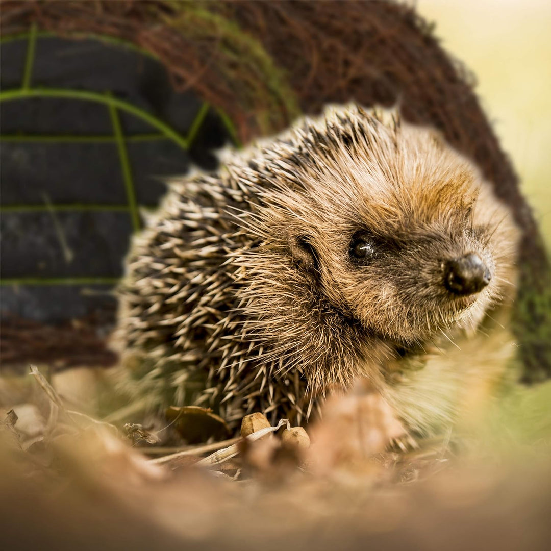 Relaxdays Igelhaus, Iglu, Winterquartier für Garten, wetterfeste Igelkuppel aus Rattan HxBxT 20 x 52