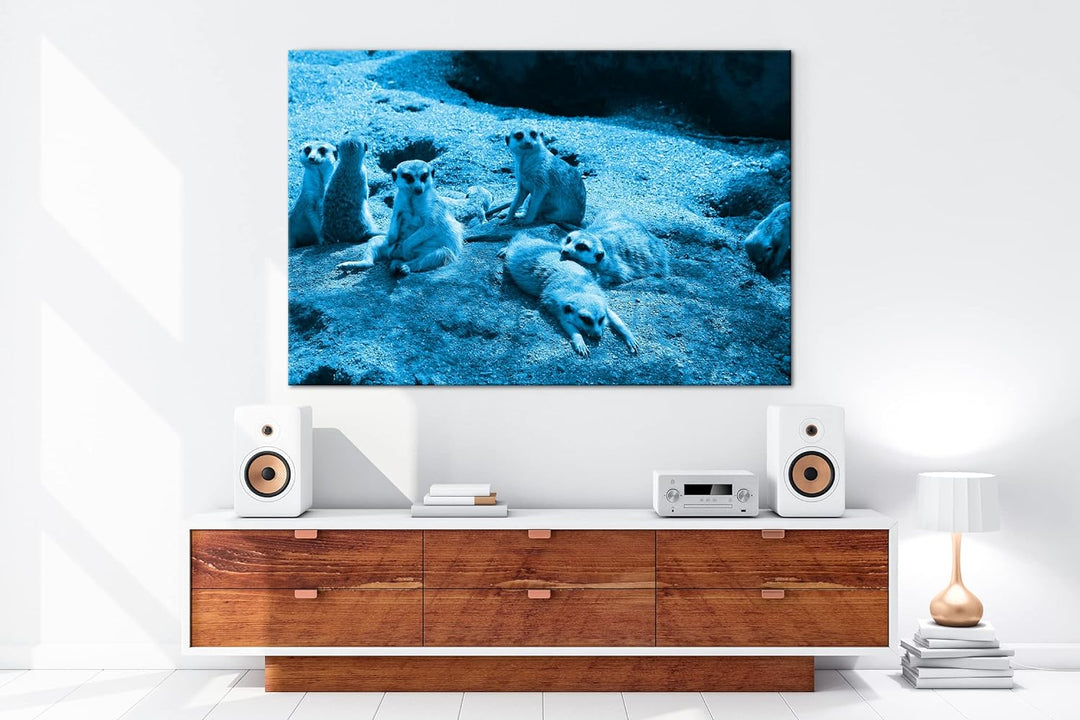 deyoli niedliche Erdmännchen Familie Format 80x60 Effekt: Monocrome Blau als Leinwandbild, Motiv fer