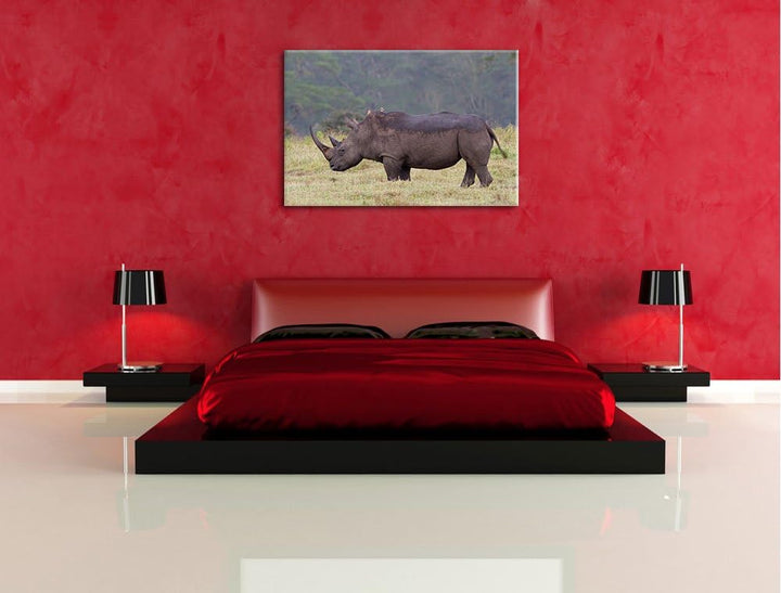 grosses Nashorn in der Savanne Leinwand, XXL riesige Bilder fertig gerahmt mit Keilrahmen, Kunstdruc