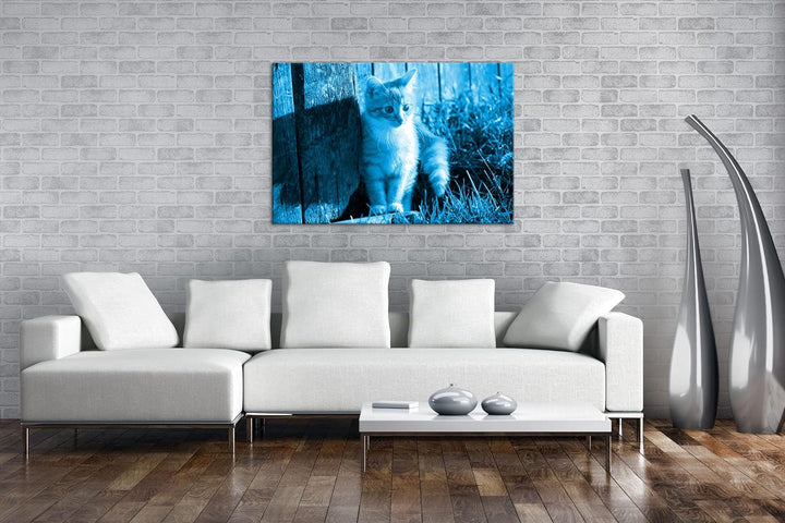 deyoli süsse kleine Katze im Sonnenschein Format 80x60 Effekt: Monocrome Blau als Leinwandbild, Moti