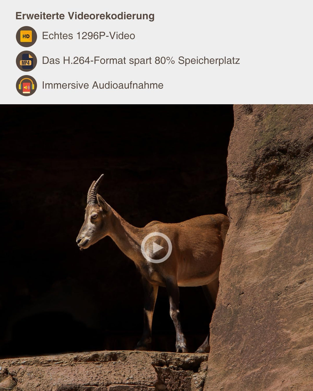 GardePro A5 Wildkamera 48MP 1296P H.264 Video, Wildkamera mit Bewegungsmelder Nachtsicht bis 30m, No