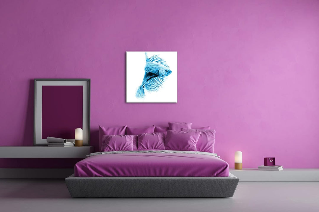 deyoli roter Kampffisch Format: 60x60 Effekt: Zeichnung als Leinwandbild, Motiv auf Echtholzrahmen,
