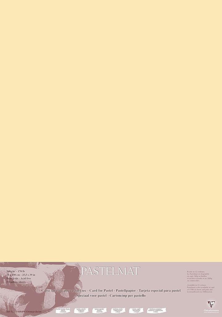 Clairefontaine 296023C Packung (mit 5 Zeichenbögen Pastelmat, 70 x 100 cm, 360 g, ideal für Trockent