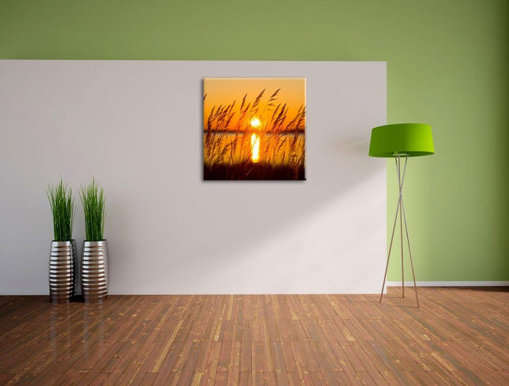 Sonne zwischen Gräsern, Format: 70x70 auf Leinwand, XXL riesige Bilder fertig gerahmt mit Keilrahmen