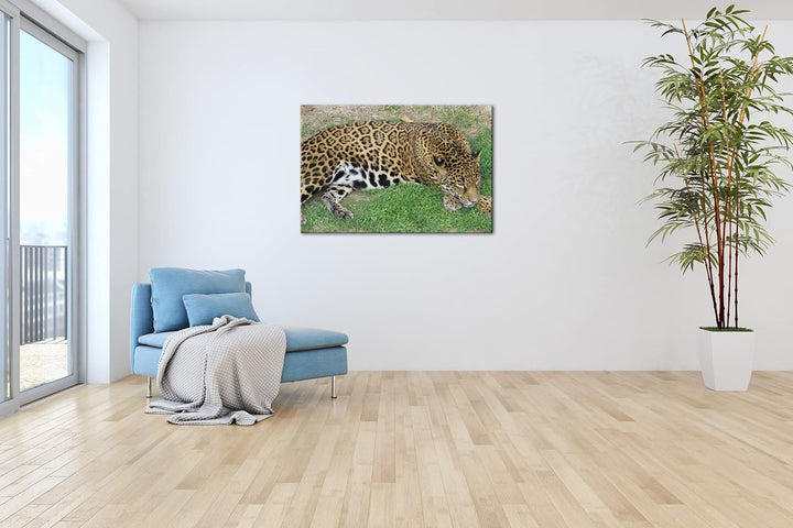 deyoli ruhig liegender Leopard Format: 100x70 als Leinwand, Motiv fertig gerahmt auf Echtholzrahmen,