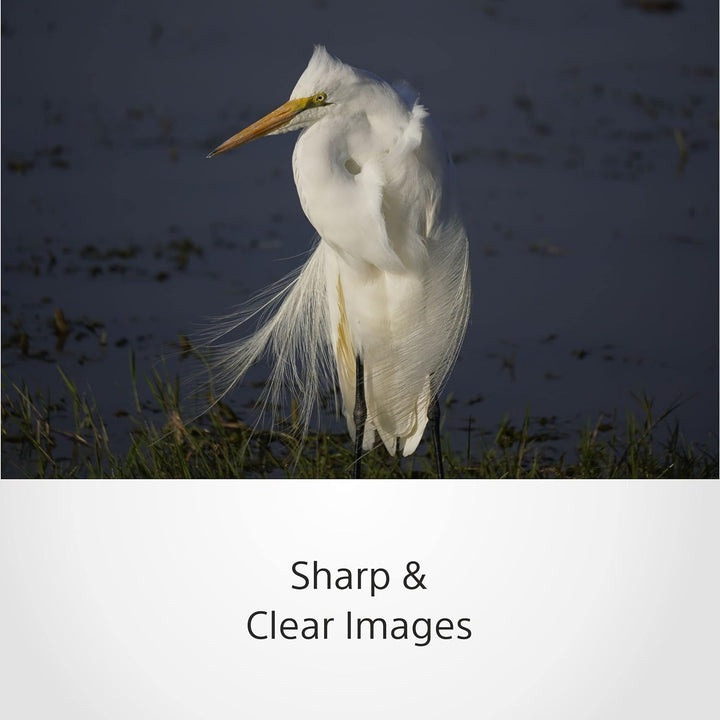 Sony E 70-350mm f/4.5-6.3 G OSS | APS-C, Super-Telezoom-Objektiv (SEL70350G) Single, Single