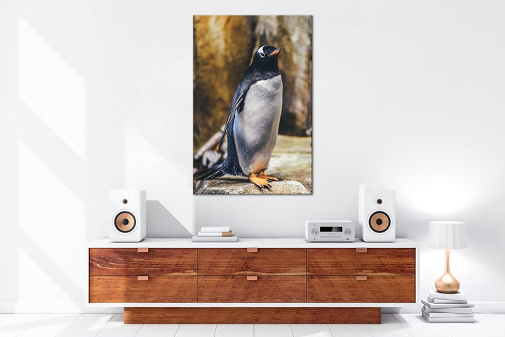deyoli niedlicher Pinguin Format: 80x60 als Leinwand, Motiv fertig gerahmt auf Echtholzrahmen, Hochw