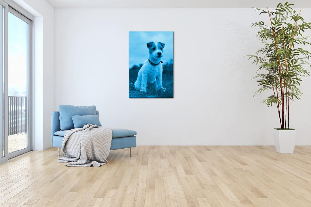 deyoli süsser Jack Russell Terrier Format 80x60 Effekt: Monocrome Blau als Leinwandbild, Motiv ferti