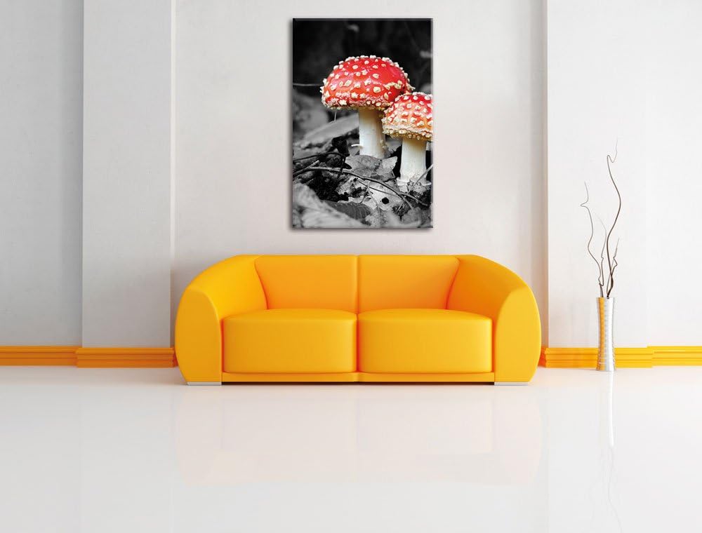Pixxprint Zwei kleine Fliegenpilze im Wald, Format: 80x120 auf hochkantiges Leinwand, XXL riesige Bi