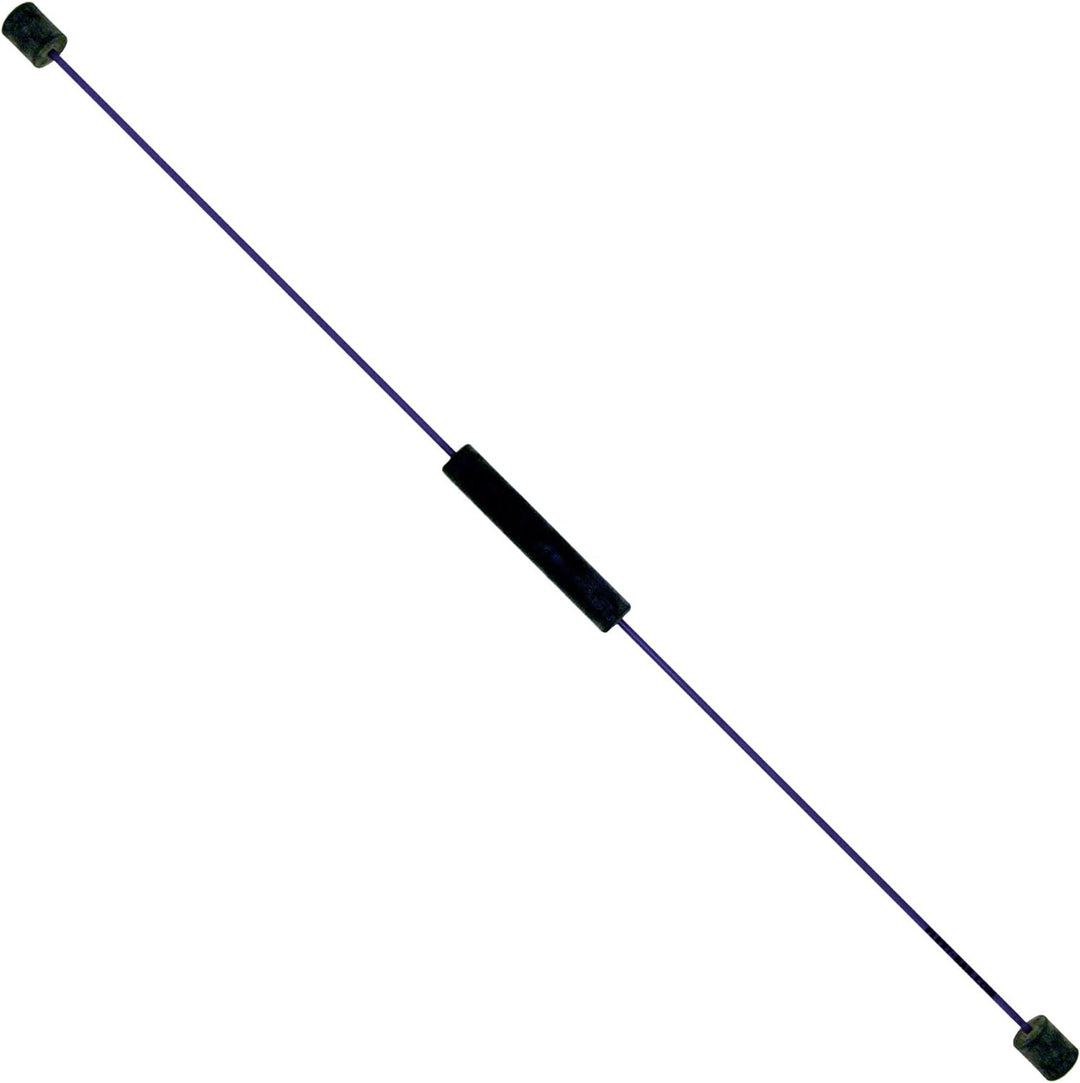 FLEXI-BAR INTENSIV, Blau, hochbelastbarer Schwingstab von Flexi-Sports mit Einführungs-DVD und Train