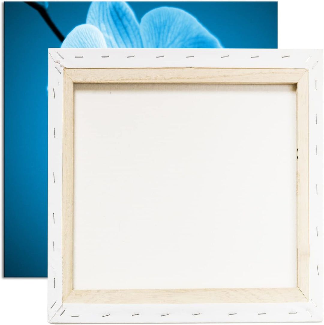 deyoli Zauberhafte Orchidee Format: 70x70 Effekt: Monocrome Blau als Leinwandbild, Motiv fertig gera