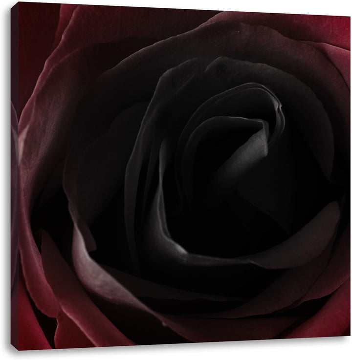 Rote Rose Schwarz/Weiss, Format: 70x70 auf Leinwand, XXL riesige Bilder fertig gerahmt mit Keilrahme