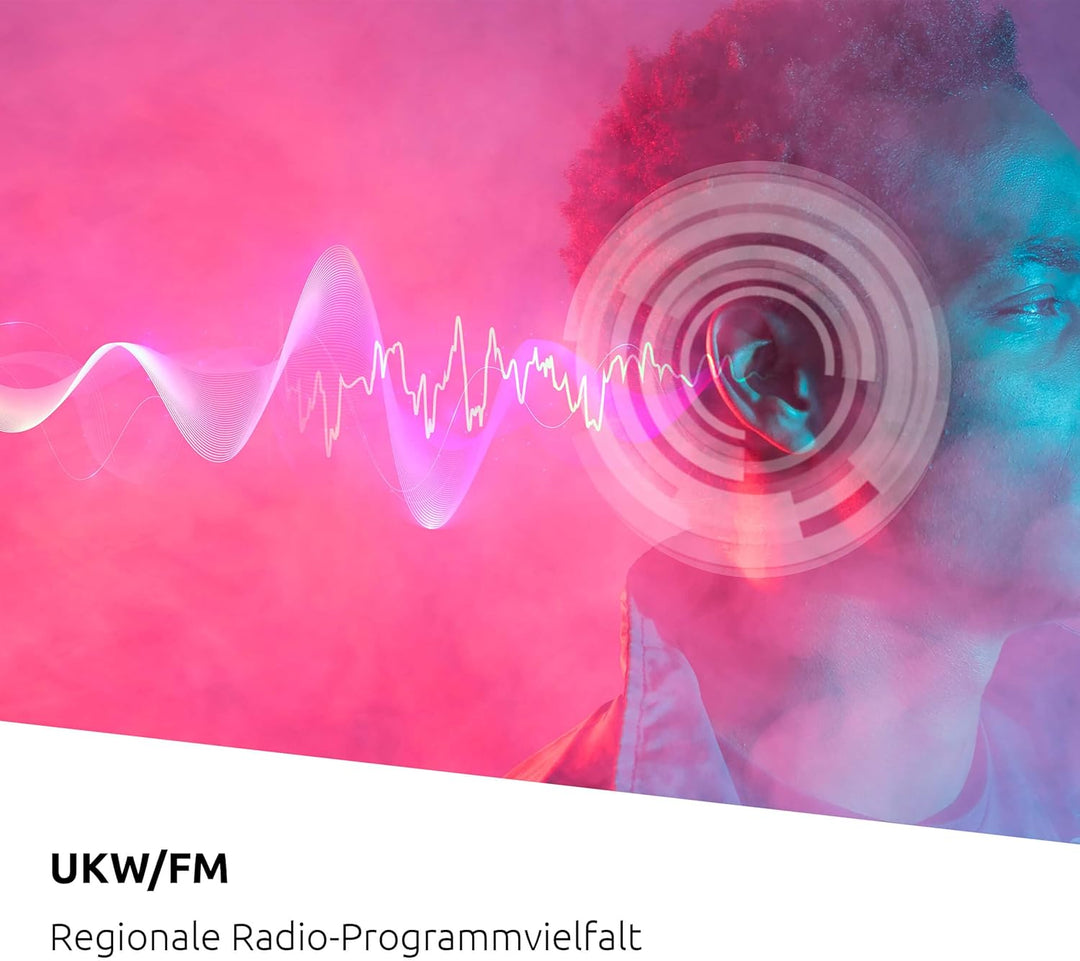 TechniSat Viola CD-1 - tragbarer Stereo CD-Player, Boombox mit praktischem Tragegriff (CD-Radio für