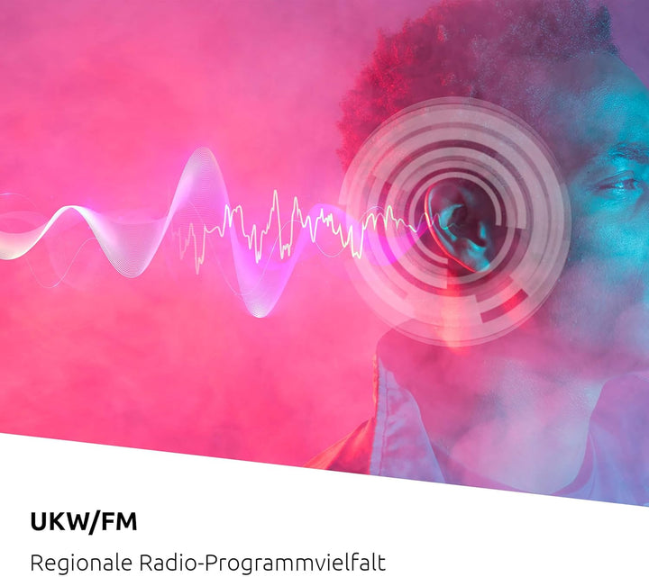 TechniSat Viola CD-1 - tragbarer Stereo CD-Player, Boombox mit praktischem Tragegriff (CD-Radio für