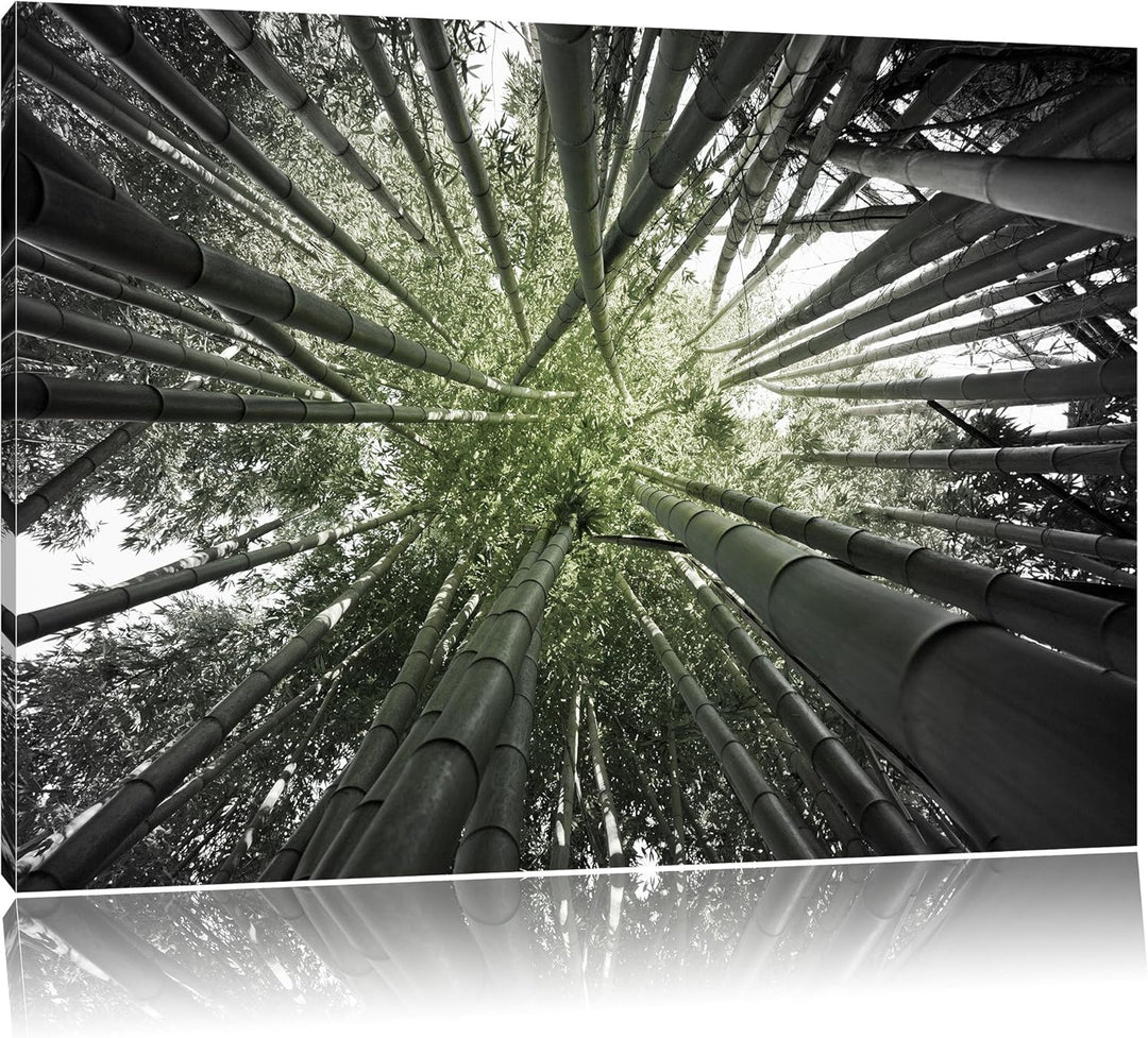 Grüner Bambus B&W Detail, Format: 100x70 auf Leinwand, XXL riesige Bilder fertig gerahmt mit Keilrah